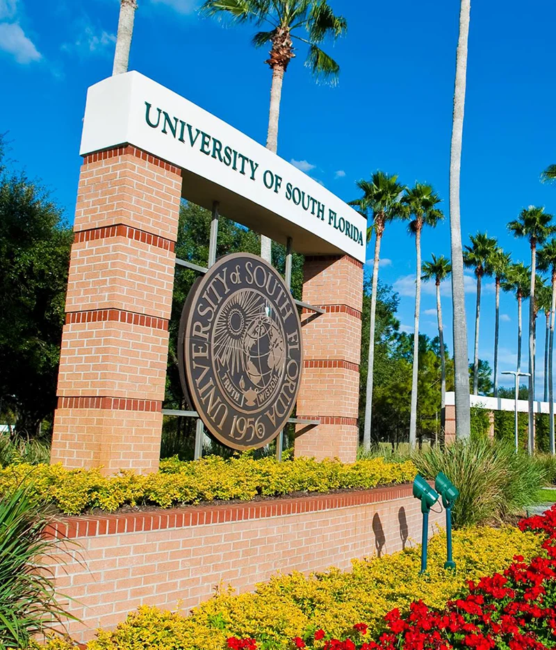 University of South Florida